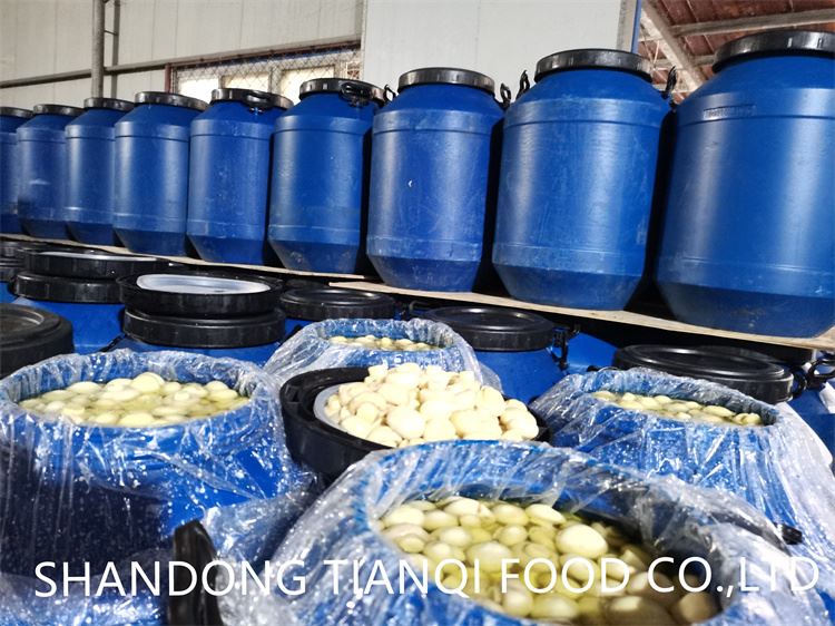 salted mushroom slices in big drums