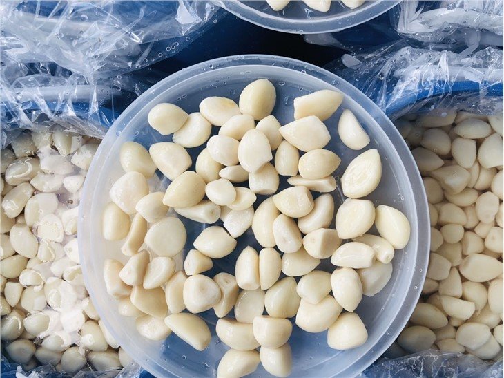 White peeled garlic cloves in salted water in drums