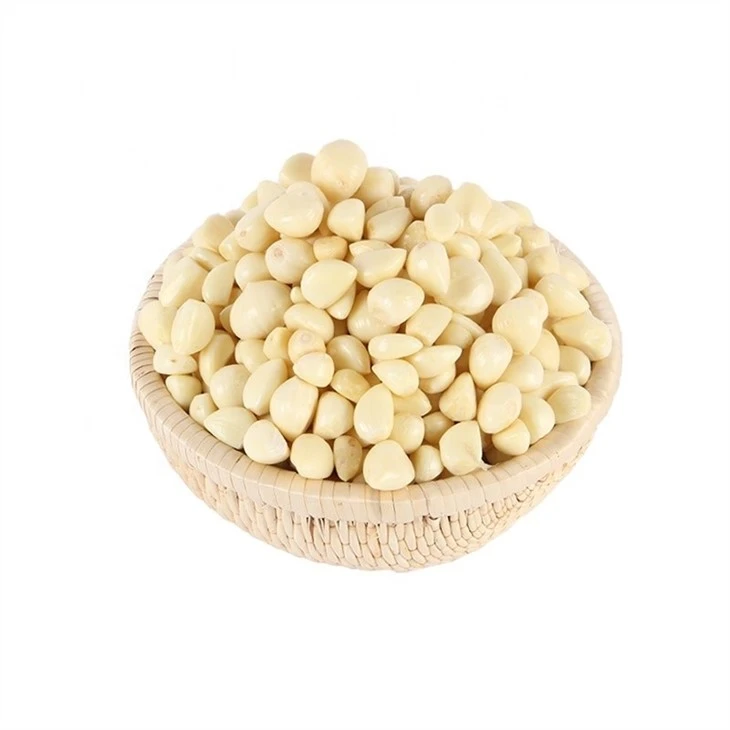 Salted normal white garlic cloves in brine in drums