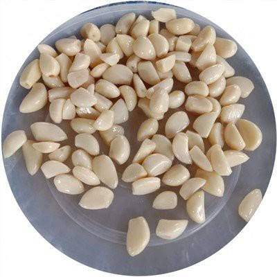 Nýtt hvítlauksrif í saltlegi